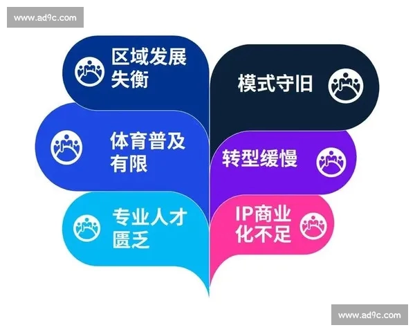 打造全民互动体验的创新型体育平台生态体系高质量发展战略蓝图